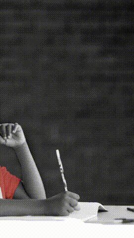 governments commitments